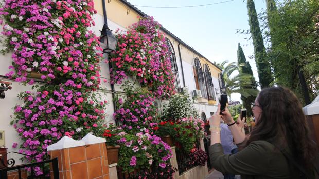 Primer premio del concurso de Rejas y Balcones del año pasado
