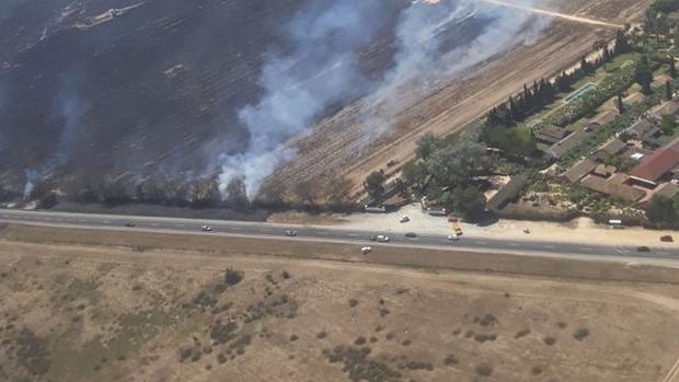 El incendio afectó a una zona agrícola de Almonte