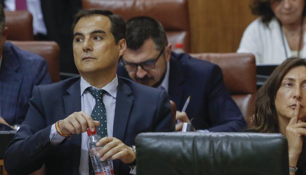 El portavoz parlamentario del PP, José Antonio Nieto