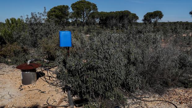 Uno de los pozos ilegales detectados en el término de Lucena del Puerto
