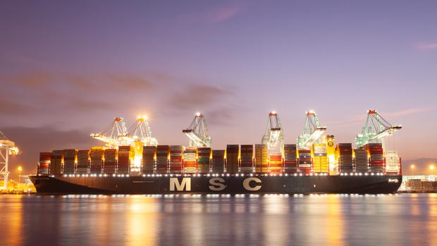 Instantánea del «MSC Gülsün» atracado en el puerto de Algeciras