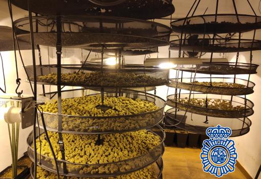 Material incautado por la Policía Nacional