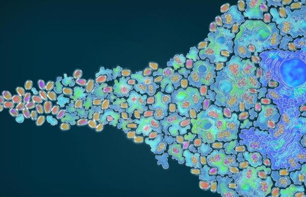 Representación artística de la evolución de las células más simples a células más complejas, con compartimentos dentro