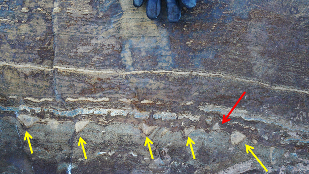 Las supuestas estructuras de estromatolitos encontradas en Groenlandia