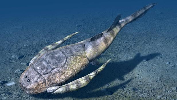 Bothriolepis, un placodermo blindado relacionado con algunos de los primeros vertebrados con mandíbula, vivió principalmente en la costa