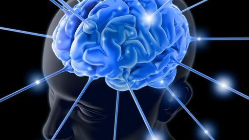 Decir que el cerebro es como un ordenador es como comparar un invernadero de tomates con el planeta Tierra
