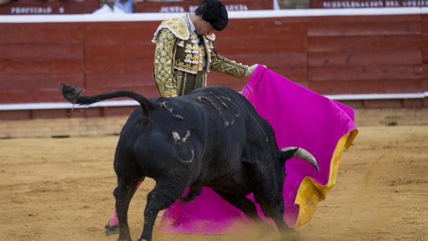 Roca Rey