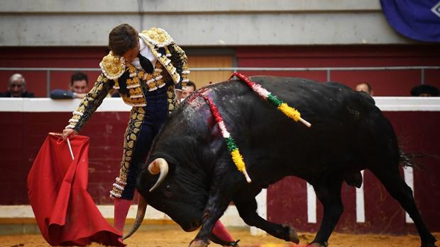 El Juli se templa en un derechazo