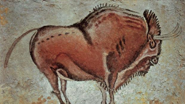 El bisonte de Altamira que se halla en la Cueva de Altamira en Santillana del Mar (Cantabria)