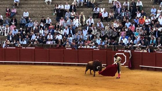 Toros en Sevilla en directo la corrida de Moral, Lorenzo