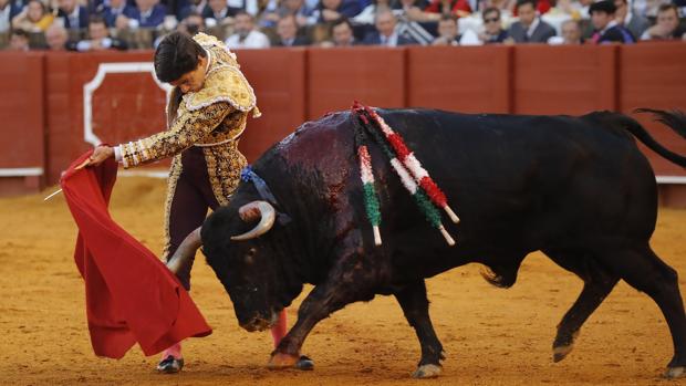 Pablo Aguado, en la Maestranza