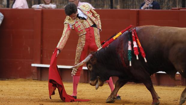 Ángel Jímenez, novillada de abono en la Real Maestranza de Sevilla