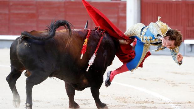 Momento en el que el toro «Santanero I» levanta por los aires a Román