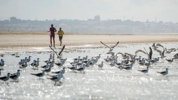 El Desafío Doñana celebrará su décima edición.