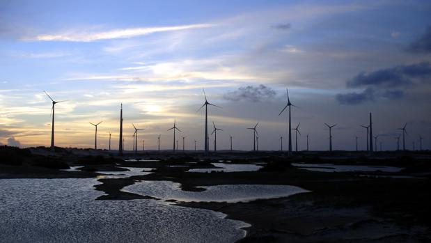 Parque eólico de Iberdrola en Río do Fogo (Brasil)