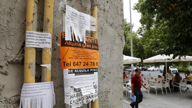El Banco de España ve en la actual escalada de precios del alquiler motivos sociológicos y económicos