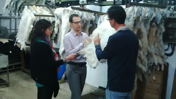 Técnicos revisan material utilizado en el proyecto del aislante