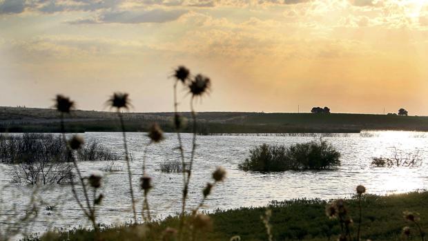 Las Tablas de Daimiel (Ciudad Real)