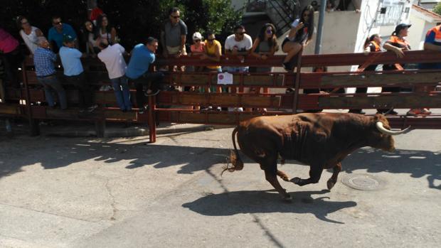 Encierros de Galapagar