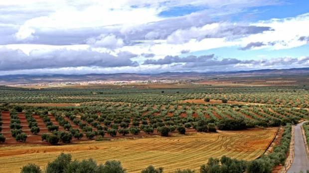 Imagen de un paraje del Campo Montiel, donde estaba previsto desarrollar el proyecto de tierras raras