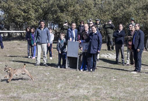 El presidente García-Page y el consejero Francisco Martínez Arroyo, en una suelta de lince
