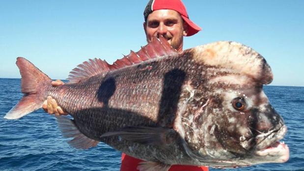 Pedro Jesús Domínguez, con un pargo que pescó la pasada semana.