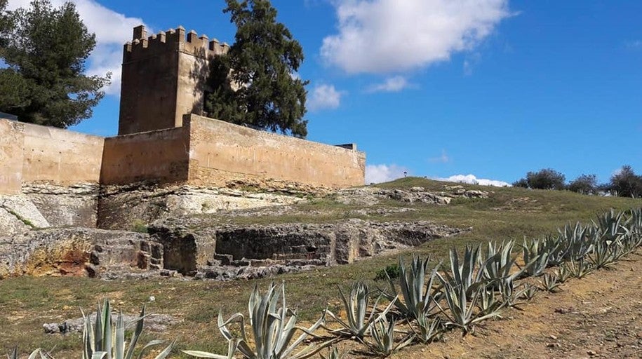Foto de Parque Olivar Del Castillo en Mairena del Alcor, Sevilla