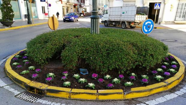 Flores en una rotonda.