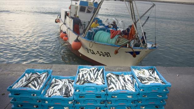 Pescadores de Barbate