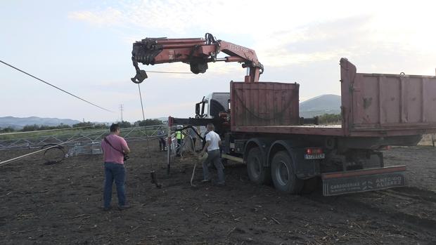 Trabajos para intentar poner en pie de nuevo las torres de electricidad.