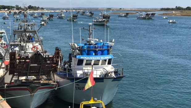 Más de cien embarcaciones están afectadas por este paro biológico en el Golfo de Cádiz.