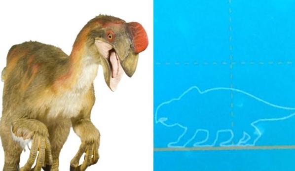 Dinosaurios