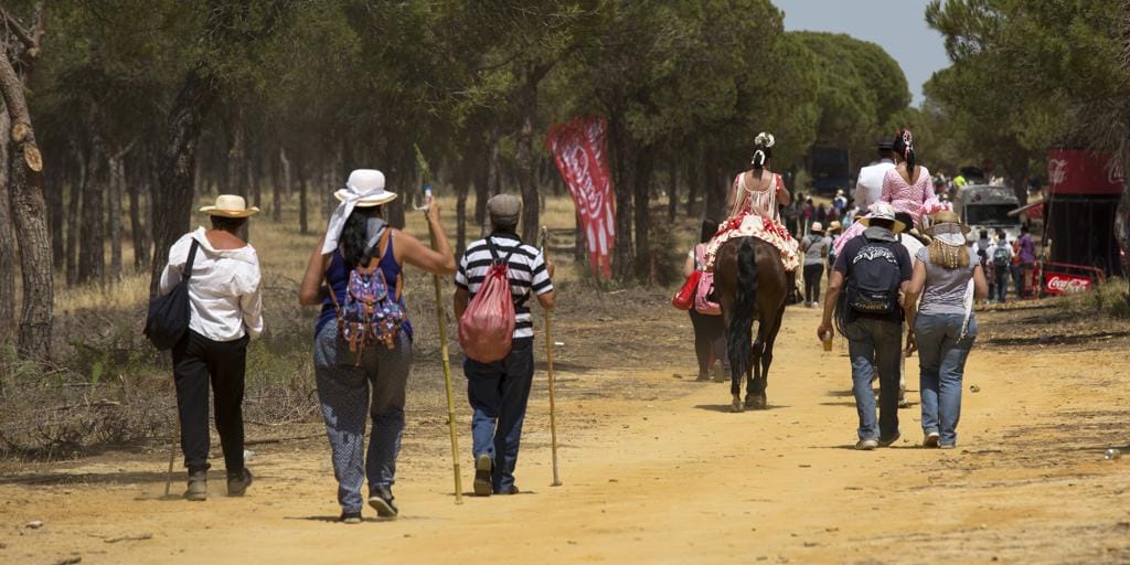 El Camino Del Rocío Este Es El Estado De Las Principales Sendas