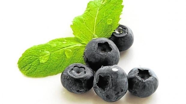 Los arándanos se han relacionado con potenciales beneficios para la salud por su riqueza en antioxidantes