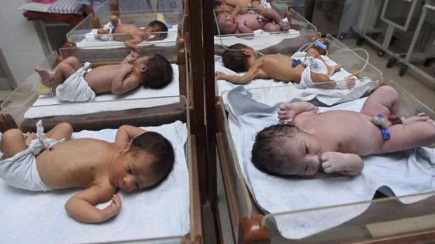 Una pareja dio a luz a los bebés de otros padres por un error de la clínica reproductiva