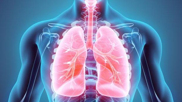 PharmaMar solicitará en EE.UU. el registro de un nuevo fármaco contra el cáncer de pulmón microcítico