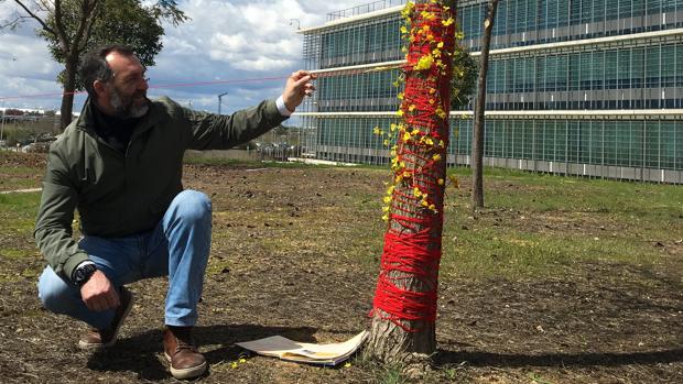 Paco Pérez Valencia en el campus de Loyola Andalucía en Sevila