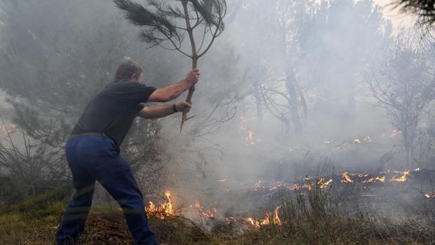 Un hombre intenta apagar pequeñas llamas del incendio desatado esta tarde en el pinar del municipio de Nieva (Segovia) que ha obligado a movilizar medios antiincendios terrestres y aéreos de la Junta de Castilla y León y del Ministerio de Agricultura y Pesca, Alimentación y Medio Ambiente, y a llamar a la Unidad Militar de Emergencias. El incendio, declarado por la Junta de nivel 1, se ha originado hacia las 14.30 horas