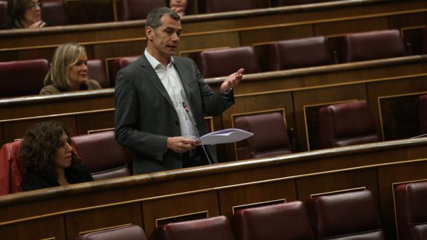 El diputado de Ciudadanos, Toni Cantó