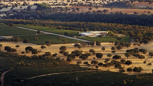 Finca Vallegarcía, en Retuerta de Bullaque (Ciudad Real)